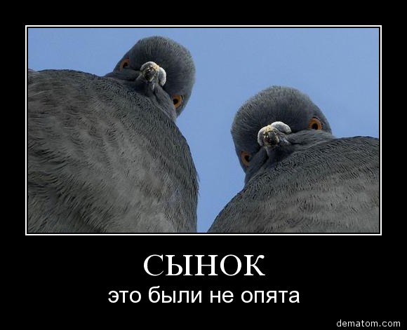 5798-synok_eto_byli_ne_opiata.jpg