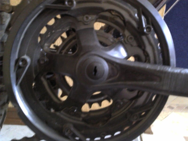 2011-04-24.jpg