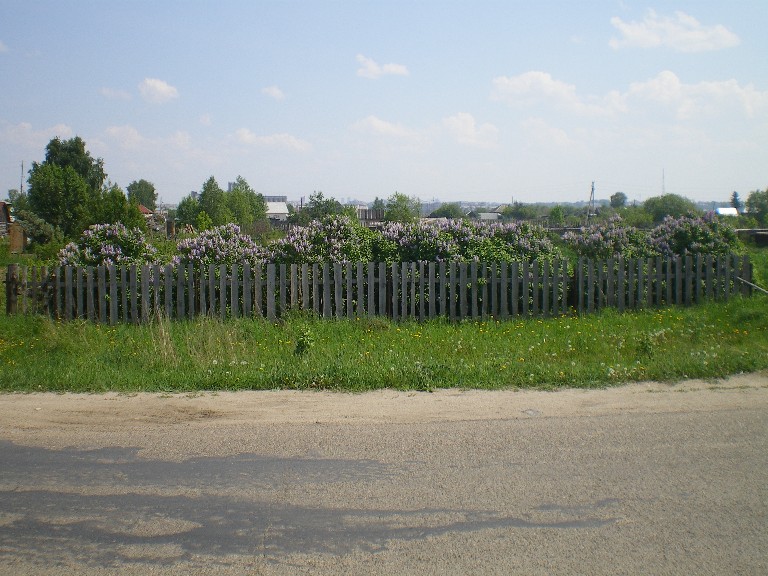 28. Сиренька