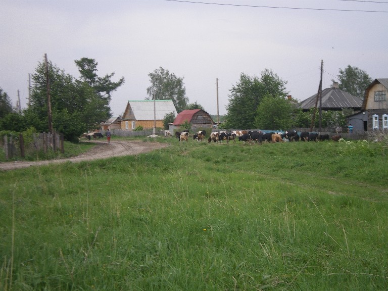 79. Деревня Киргизка (не путать с п.Киргизка)