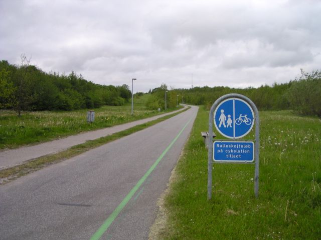 P1010043_1.jpg