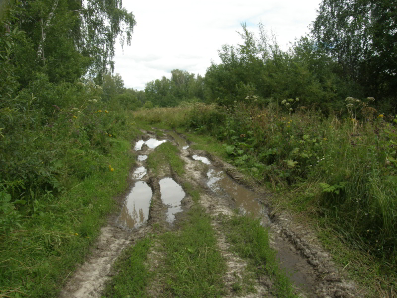 P7300023.jpg