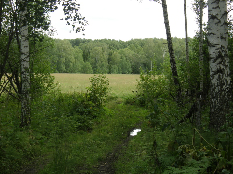 P7300063.jpg