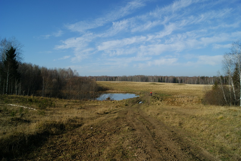 17.jpg