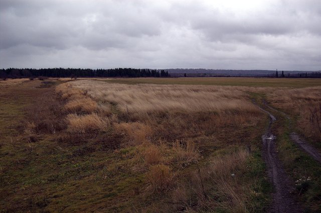 dsc_3651_re.jpg