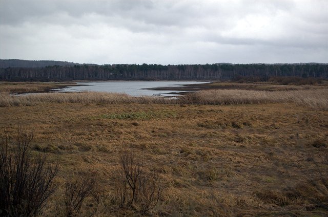 dsc_3657_re.jpg