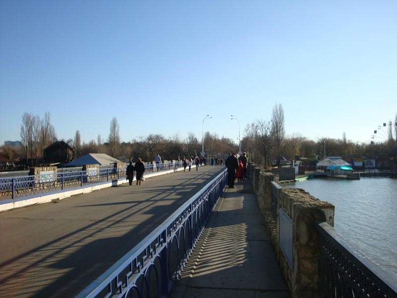 DSC09464.jpg