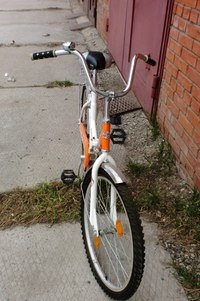 image.jpg