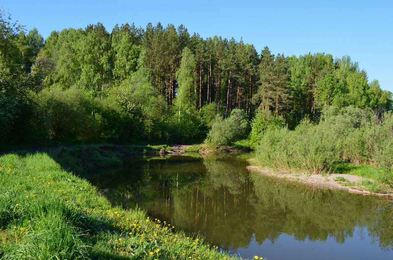 р. Ушайка чуть выше Степановки