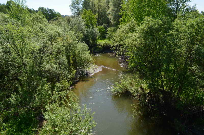 DSC_0013.JPG
