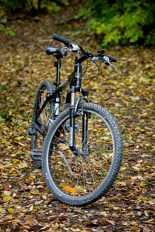 small-7234.jpg