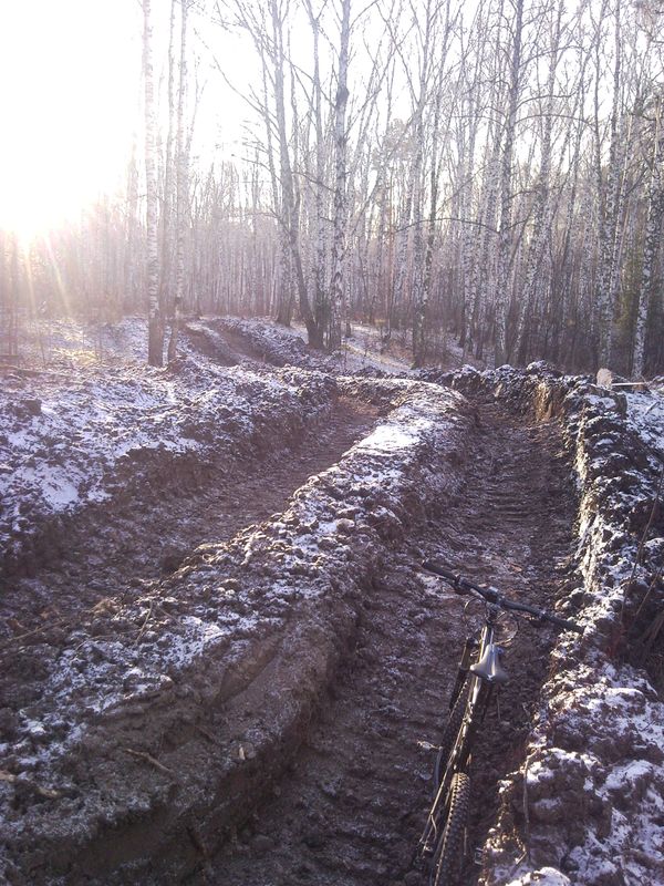 SNC00684.jpg