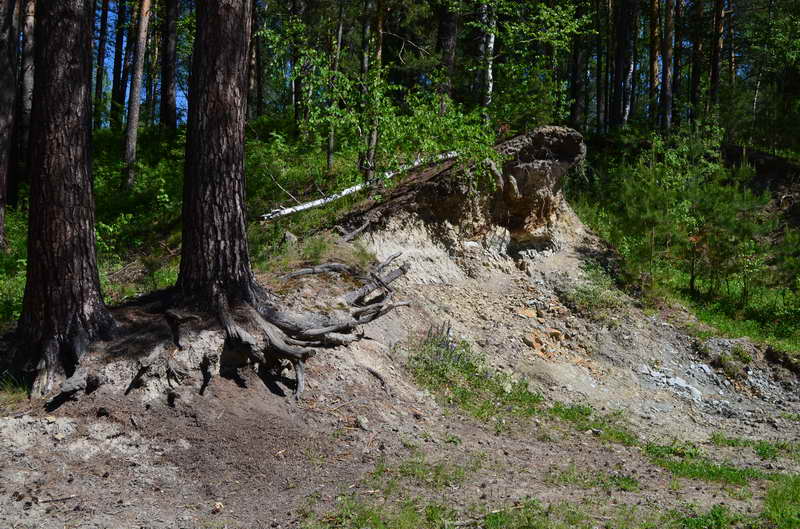 DSC_0047.JPG
