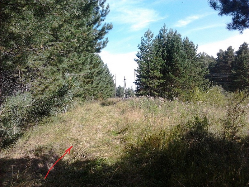 2014-08-31 13.21.30_c_c.jpg