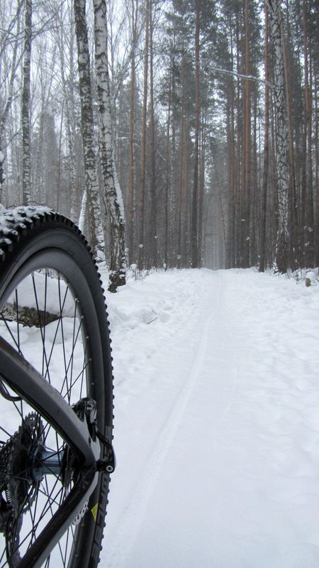 IMG_0110.JPG