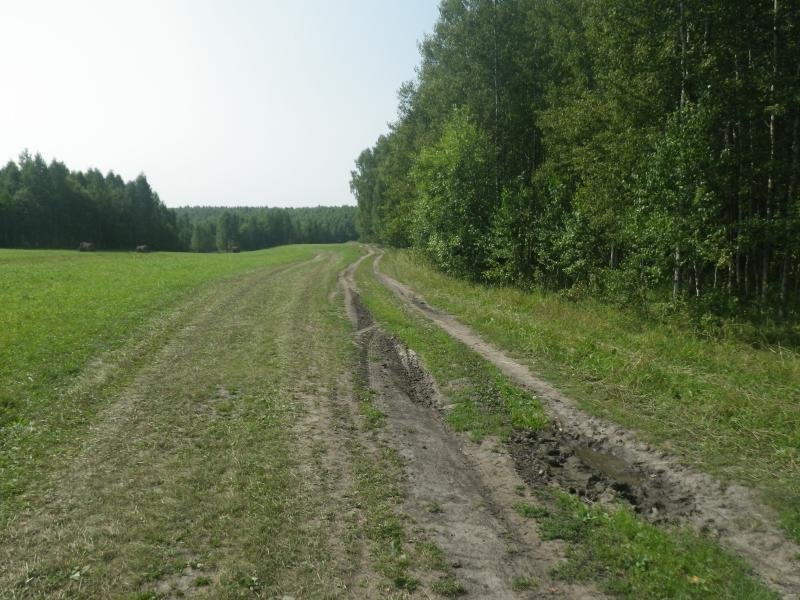 Дорога от Овражного в строну Берёзовки