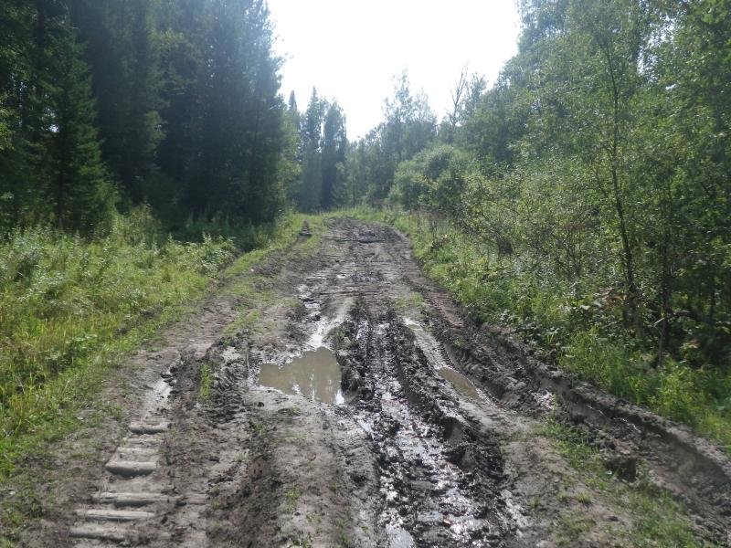 Подъём от Берёзовки