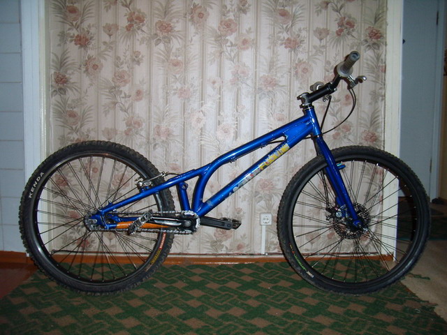 P1280026_resize_resize.JPG