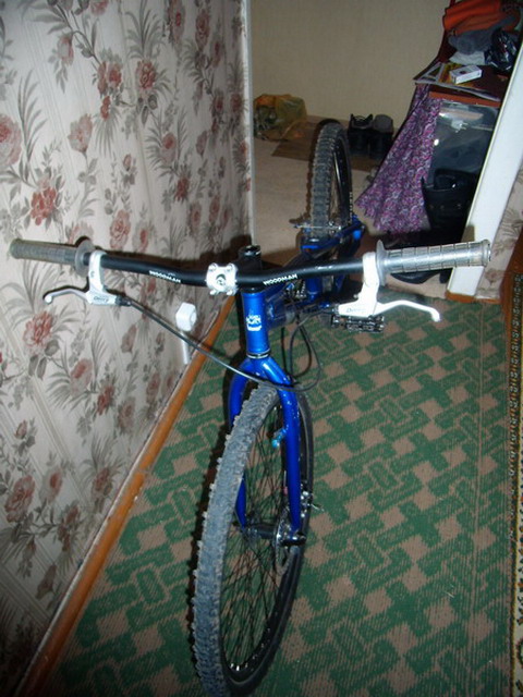P1280032_resize_resize.jpg