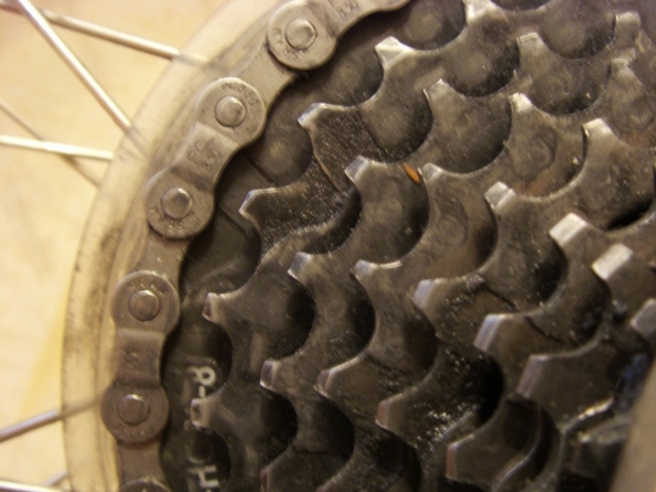 S73F5395.JPG