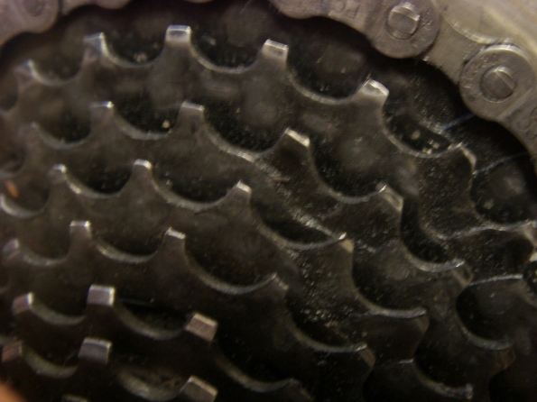 S73F5396.JPG