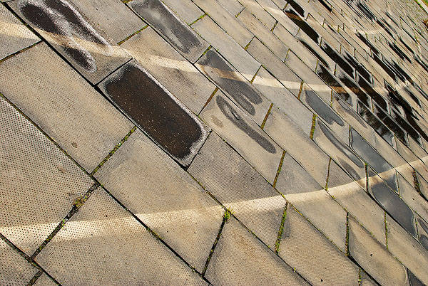 DSC_0142.jpg